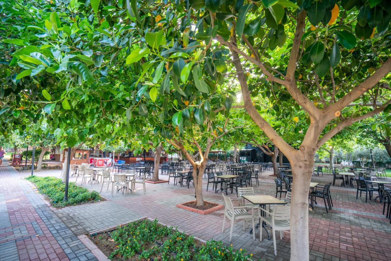 Gardenia Beach Hotel Αλάνια Εξωτερικό φωτογραφία